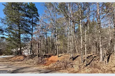 0 Lake Club Drive #84, Lavonia, GA 30553 - Photo 4