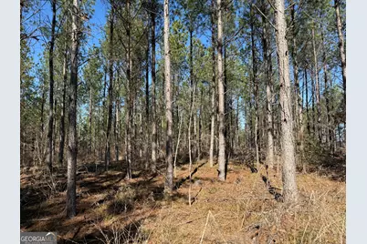 Truslow Central Durham Mill Road, Jeffersonville, GA 31044 - Photo 46
