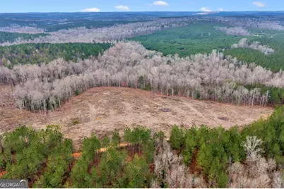 Truslow Central Durham Mill Road, Jeffersonville, GA 31044 - Photo 18