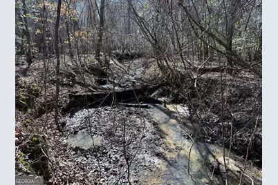 Truslow Central Durham Mill Road, Jeffersonville, GA 31044 - Photo 4