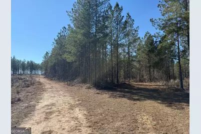 Truslow Central Durham Mill Road, Jeffersonville, GA 31044 - Photo 32