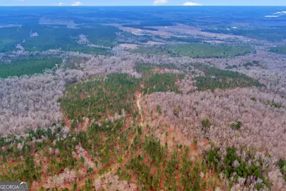 Truslow South Durham Mill Road, Jeffersonville, GA 31044 - Photo 44