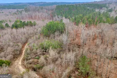 Truslow South Durham Mill Road, Jeffersonville, GA 31044 - Photo 32