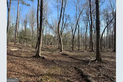 Truslow South Durham Mill Road, Jeffersonville, GA 31044 - Photo 14