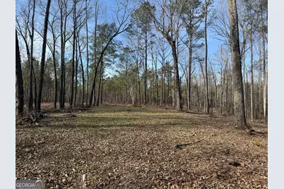 Truslow South Durham Mill Road, Jeffersonville, GA 31044 - Photo 12