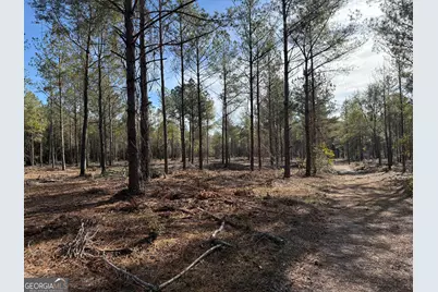 Truslow South Durham Mill Road, Jeffersonville, GA 31044 - Photo 6