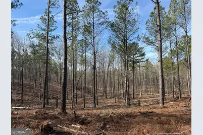 Truslow South Durham Mill Road, Jeffersonville, GA 31044 - Photo 26