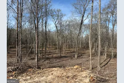 Truslow South Durham Mill Road, Jeffersonville, GA 31044 - Photo 20