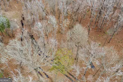 Truslow South Durham Mill Road, Jeffersonville, GA 31044 - Photo 36