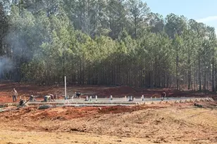 0 Branch Ct, Newnan, GA 30263 - Photo 1