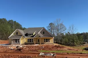 0 Branch Ct, Newnan, GA 30263 - Photo 1