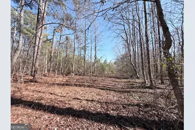 0 New Hope Road, Toccoa, GA 30577 - Photo 8