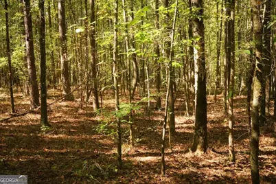 1092 Cooper Gin Road, Statham, GA 30666 - Photo 14