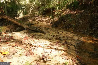 1092 Cooper Gin Road, Statham, GA 30666 - Photo 12