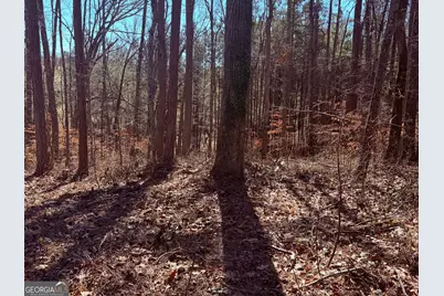 2487 S Carroll Court, Villa Rica, GA 30180 - Photo 2