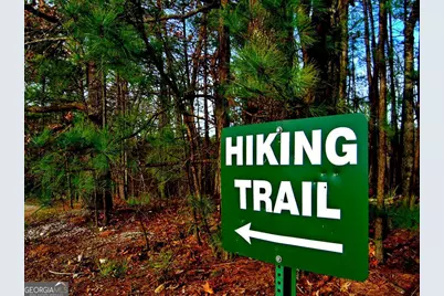 2487 S Carroll Court, Villa Rica, GA 30180 - Photo 6