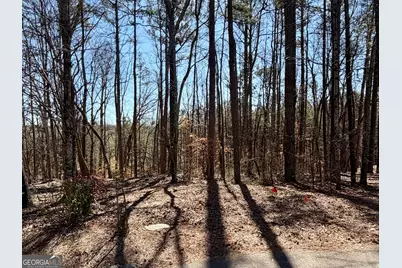 2487 S Carroll Court, Villa Rica, GA 30180 - Photo 1