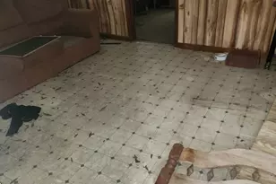 45 Oakwood Dr, Oglethorpe, GA 31068 - Photo 4