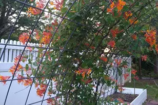 29 Mountain View Dr, Toccoa, GA 30577 - Photo 62