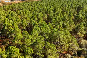 Lot 2 Middle Ground Church Rd, Chester, GA 31012 - Photo 10