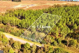 Lot 2 Middle Ground Church Rd, Chester, GA 31012 - Photo 22