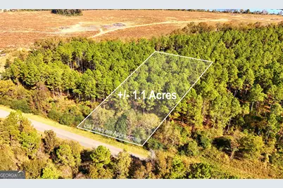Lot 2 Middle Ground Church Road, Chester, GA 31012 - Photo 1