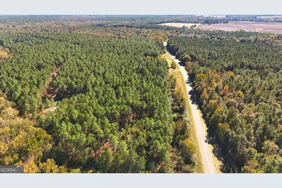 Lot 2 Middle Ground Church Road, Chester, GA 31012 - Photo 20