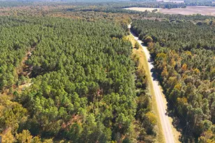 Lot 2 Middle Ground Church Rd, Chester, GA 31012 - Photo 20