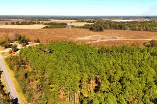 Lot 2 Middle Ground Church Rd, Chester, GA 31012 - Photo 6