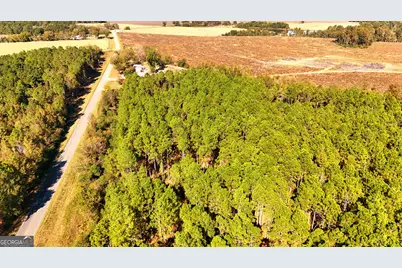 Lot 2 Middle Ground Church Road, Chester, GA 31012 - Photo 8
