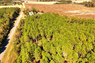 Lot 2 Middle Ground Church Rd, Chester, GA 31012 - Photo 8