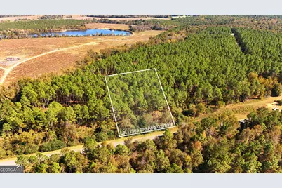 Lot 2 Middle Ground Church Road, Chester, GA 31012 - Photo 16