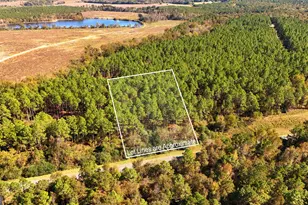 Lot 2 Middle Ground Church Rd, Chester, GA 31012 - Photo 16