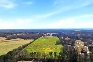 1013 Amber Stapp Studdard Rd, Social Circle, GA 30025 - Photo 110