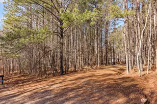 2120 Morgan Ln, Covington, GA 30014 - Photo 48