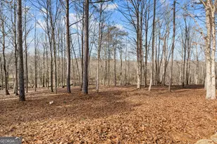 2120 Morgan Ln, Covington, GA 30014 - Photo 50