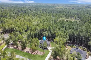 149 Windmill Plantation Dr, Statesboro, GA 30461 - Photo 52