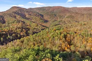180 Cohutta Frst Rd, Ellijay, GA 30540 - Photo 48