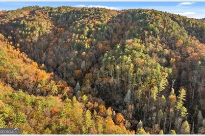 180 Cohutta Forest Road, Ellijay, GA 30540 - Photo 42