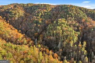 180 Cohutta Frst Rd, Ellijay, GA 30540 - Photo 42