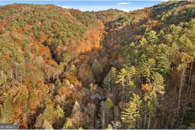 180 Cohutta Forest Road, Ellijay, GA 30540 - Photo 50