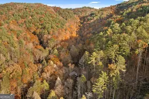 180 Cohutta Frst Rd, Ellijay, GA 30540 - Photo 50