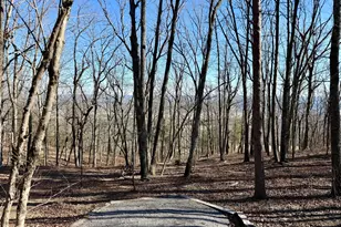 41 Skyview Dr, Menlo, GA 30731 - Photo 36