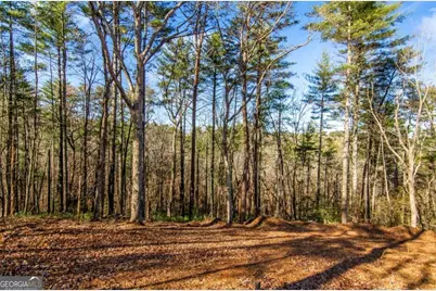 3.12 Acr Eric Lane, Ellijay, GA 30540 - Photo 4