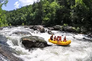 0 Forest Canopy Wy, Clayton, GA 30525 - Photo 14