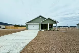 263 Lanier Rd, Ludowici, GA 31316 - Photo 2