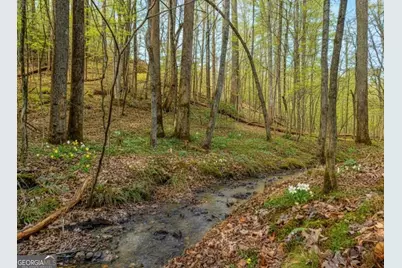 Lt 10R Whispering Oaks Drive #10R, Ellijay, GA 30540 - Photo 20