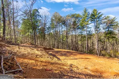 Lt 10R Whispering Oaks Drive #10R, Ellijay, GA 30540 - Photo 8