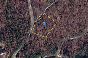 124 Autumn Sweet Dr, Clarkesville, GA 30523 - Photo 1