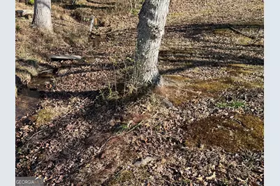 Lot 5 Victoria Woods Drive, Hiawassee, GA 30546 - Photo 6